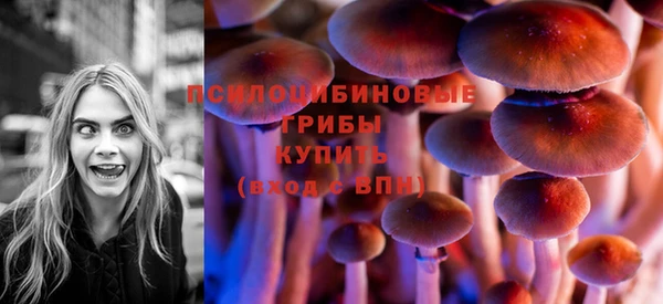 тгк Абинск