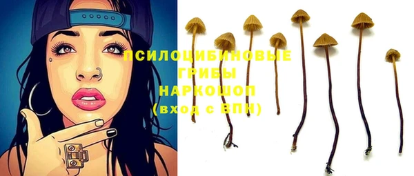 бошки Абдулино