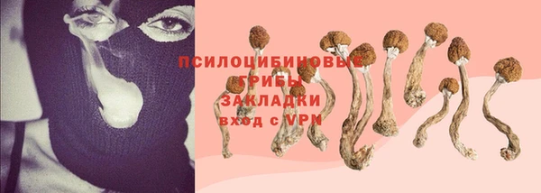 бошки Абдулино