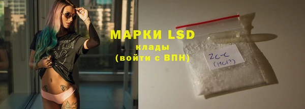 ПСИЛОЦИБИНОВЫЕ ГРИБЫ Абаза