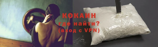 ПСИЛОЦИБИНОВЫЕ ГРИБЫ Абаза