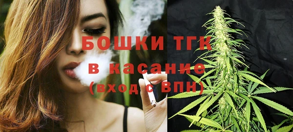 ПСИЛОЦИБИНОВЫЕ ГРИБЫ Абаза