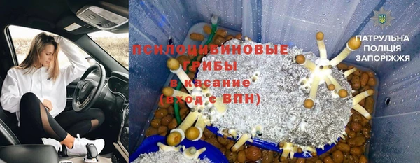 бошки Абдулино