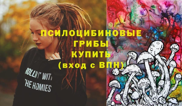 бошки Абдулино