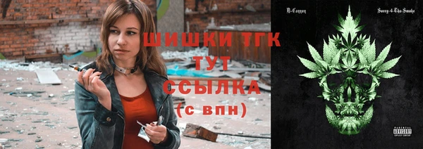 ПСИЛОЦИБИНОВЫЕ ГРИБЫ Абаза