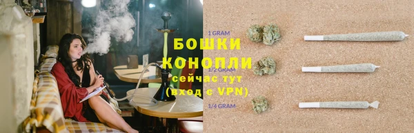 ПСИЛОЦИБИНОВЫЕ ГРИБЫ Абаза